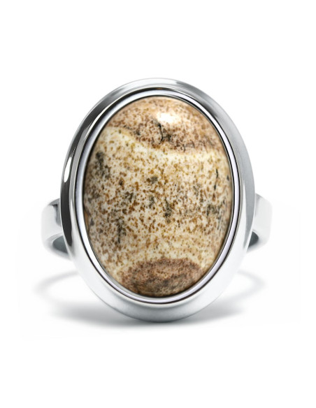 Stone - Srebrny pierścionek z jaspisem